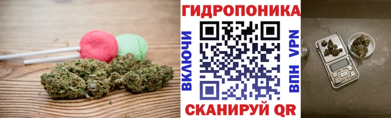 Canna-Cookies конопля Вятские Поляны