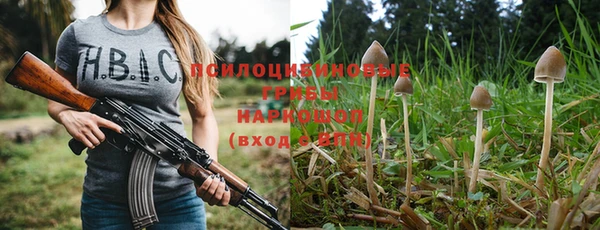 стаф Белокуриха