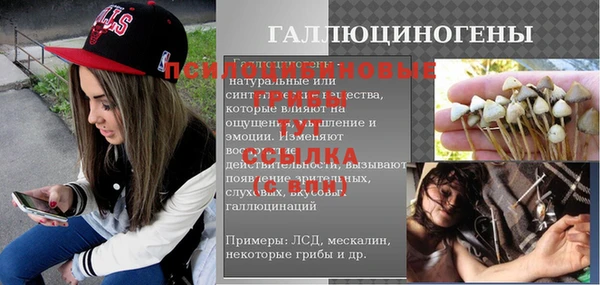 стаф Белокуриха