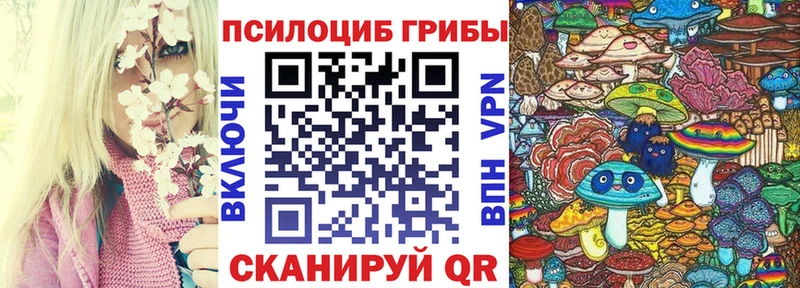 где можно купить Вятские Поляны Галлюциногенные грибы Psilocybe