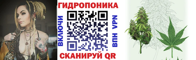 Бошки Шишки индика  купить закладку  Вятские Поляны 